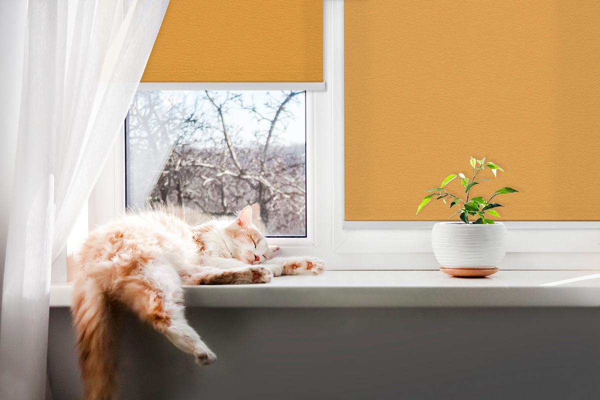INNENROLLO - Fensterrollo - Rollo - 150x140 cm - Dunkelorange - Orange, Kunststoff (150/140/0.5cm) - TULUP
