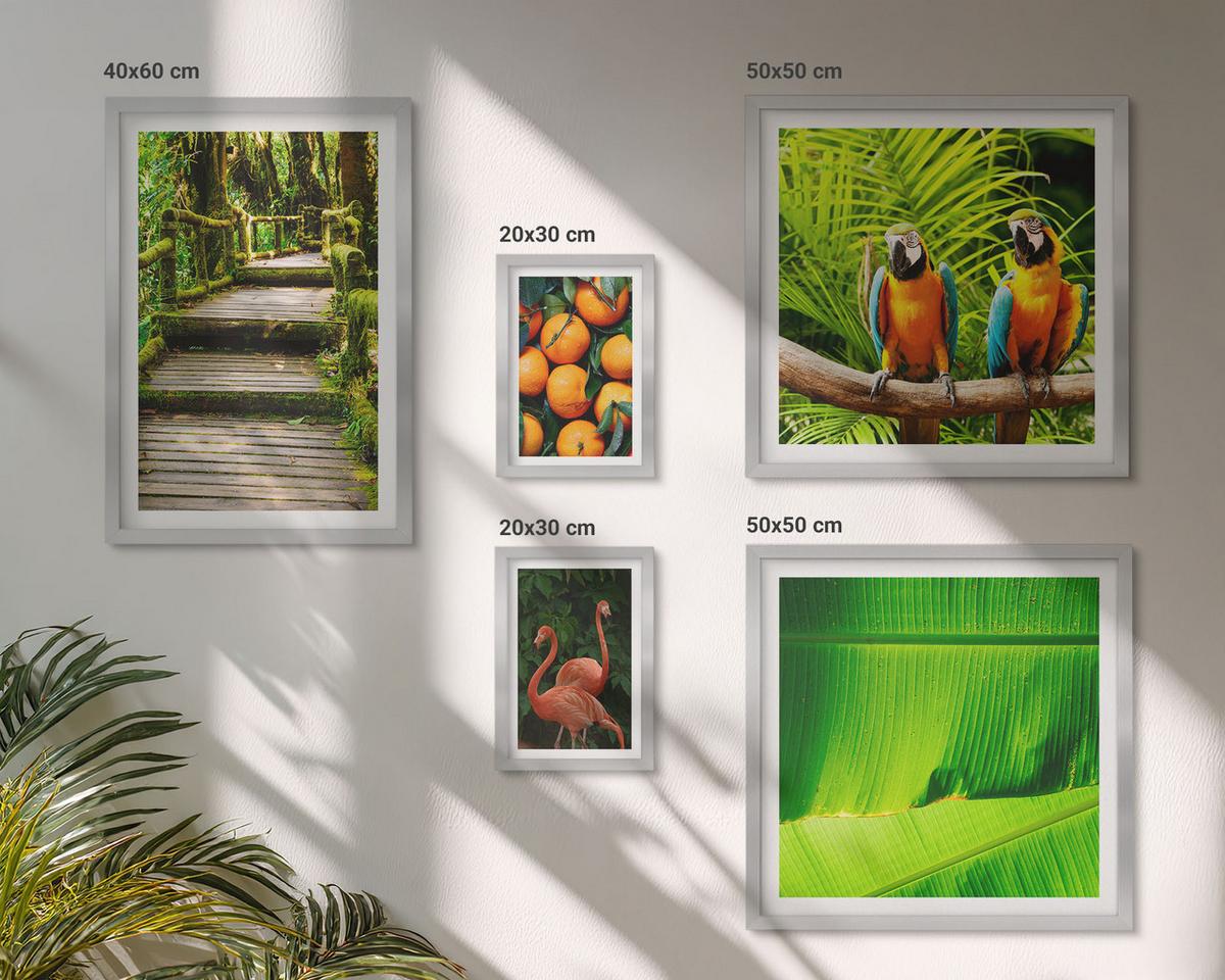 BILDER SET 5er Set - 50x50 cm & 20x30 cm & 40x60 cm Silberner Rahmen - Fruchtige Akzente der Tropen - Silberfarben, Kunststoff (40/60cm) - TULUP