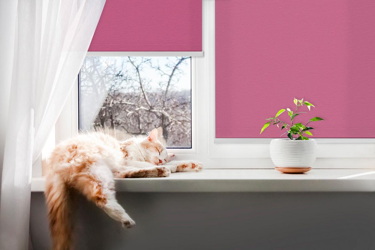 INNENROLLO - Fensterrollo - Rollo - 60x40 cm - Rosa - Pink, Kunststoff (60/140/0.5cm) - TULUP