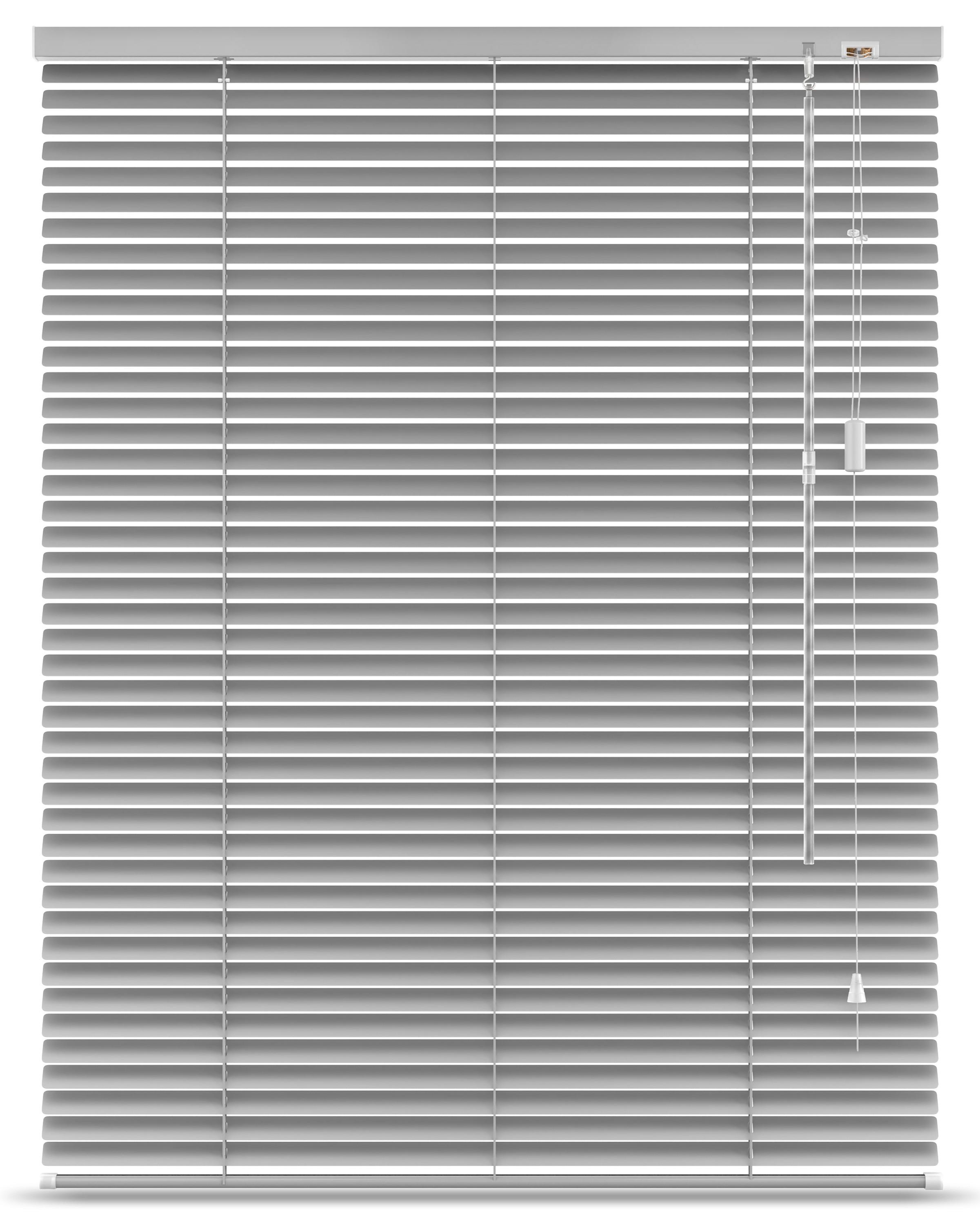 ALU-JALOUSIE SolDecor JA2 100x175cm Silber matt - Silberfarben, Metall (100cm) - Sol Royal