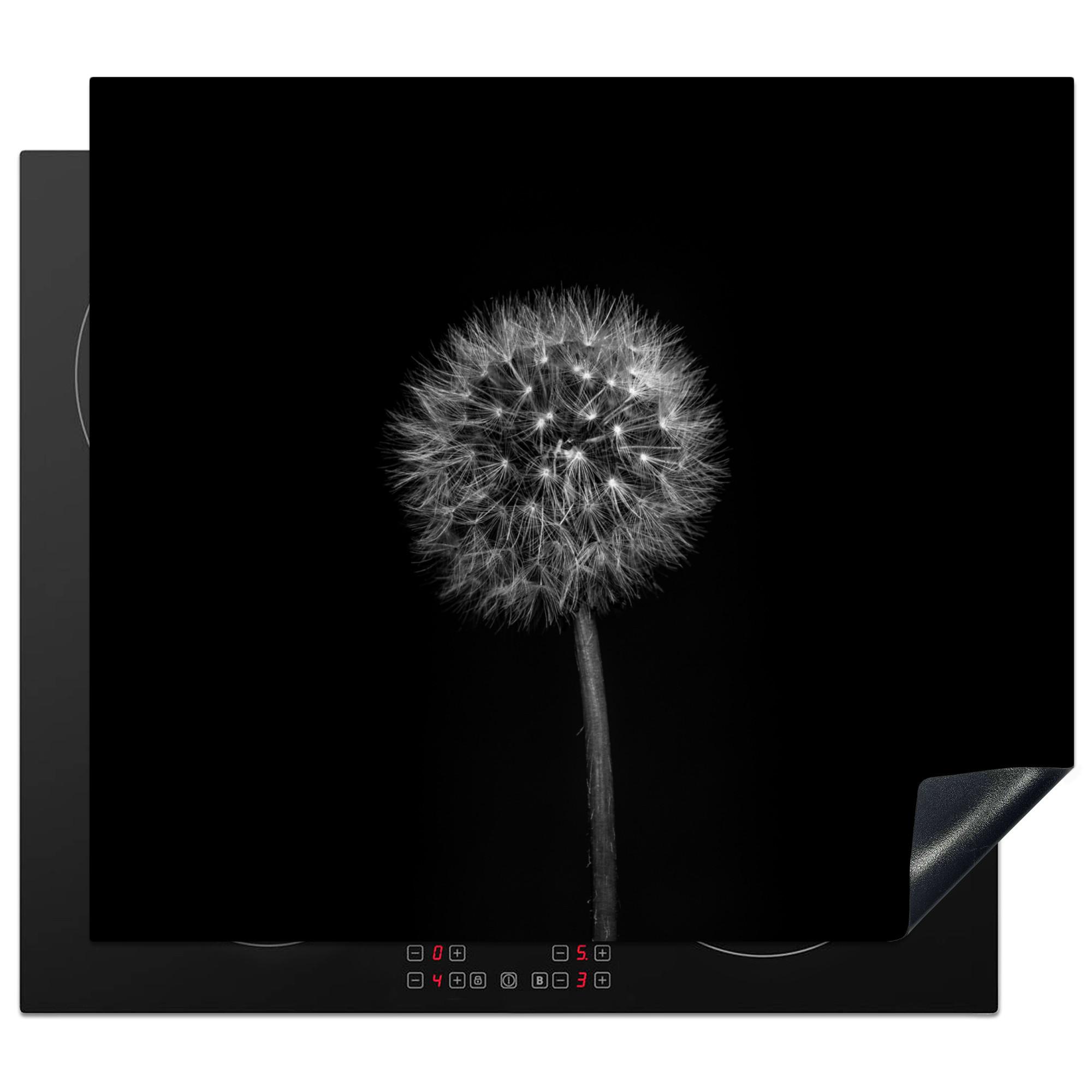 HERDABDECKPLATTE Löwenzahn - Schwarz - Floral - Botanisch Herdabdeckung Induktionsfeld 60x52 cm - Grau, Kunststoff (60/52/0.2cm) - MuchoWow