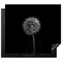 HERDABDECKPLATTE Löwenzahn - Schwarz - Floral - Botanisch Herdabdeckung Induktionsfeld 60x52 cm - Grau, Kunststoff (60/52/0.2cm) - MuchoWow