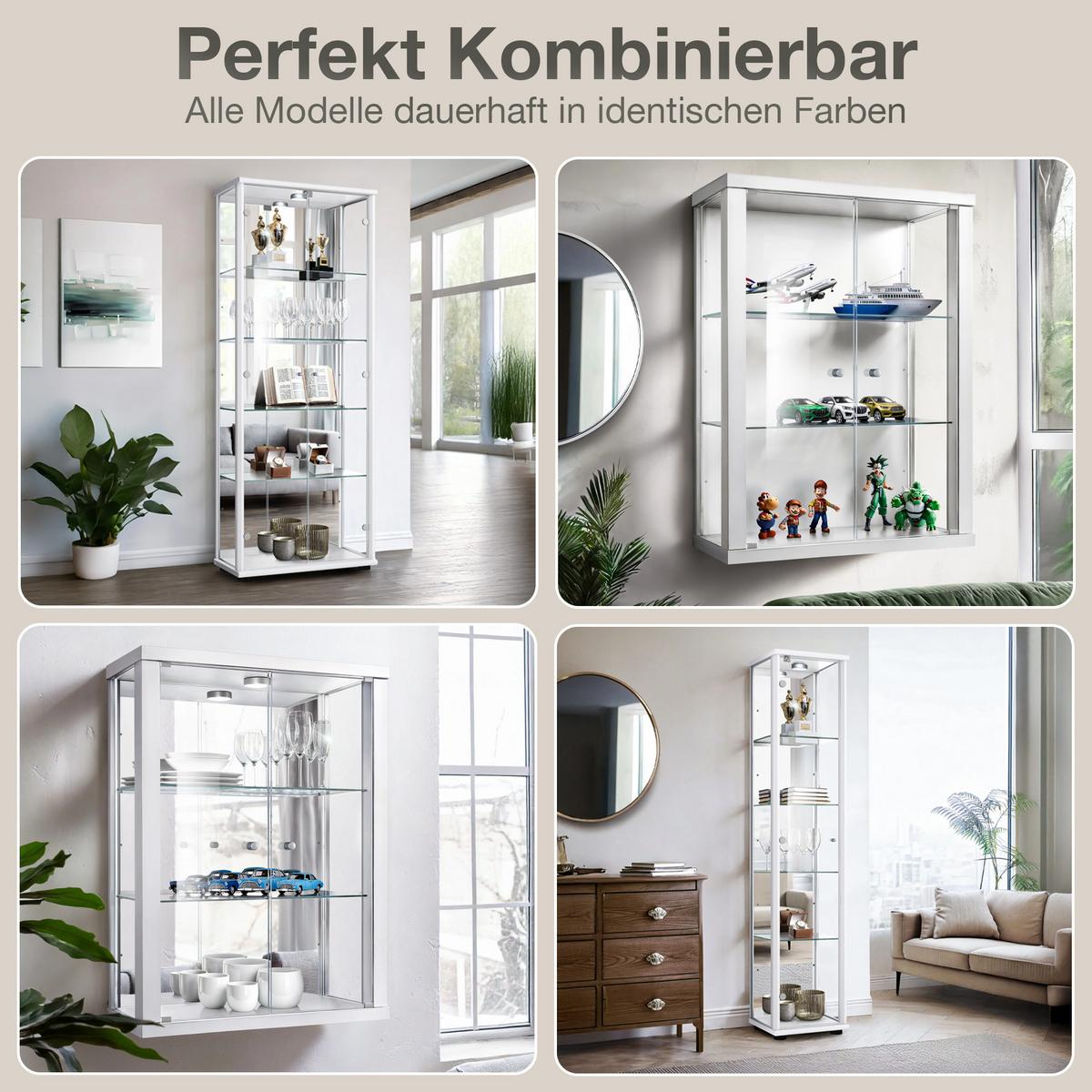 HÄNGEVITRINE 25/60/80 cm mit 2 höhenverstellbaren Glasböden - Transparent/Silberfarben, Glas/Holzwerkstoff (60/80/25cm) - K-Möbel