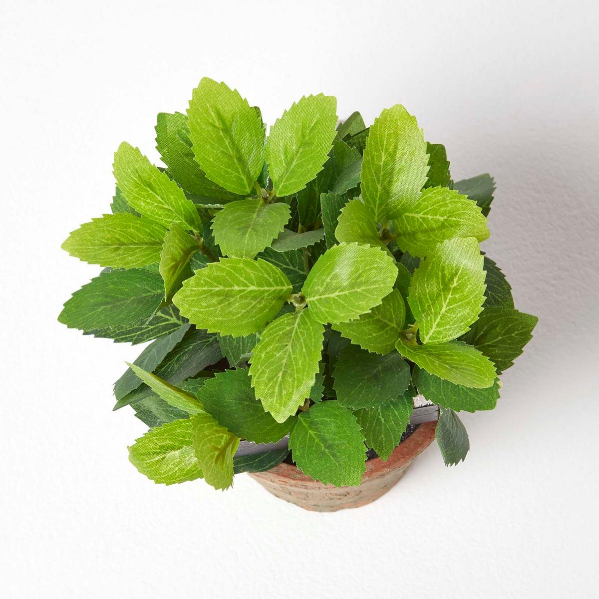 KUNSTPFLANZE Minze im Terrakotta-Topf, 17 cm - Grün, Kunststoff (17cm) - Homescapes