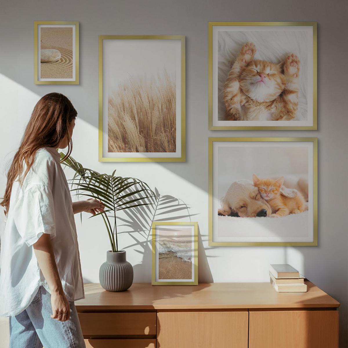 BILDER SET 5er Set - 50x50 cm & 20x30 cm & 40x60 cm Goldrahmen - Niedliche Tiere, Katzen, Hunde, Strand - Goldfarben, Kunststoff (40/60cm) - TULUP