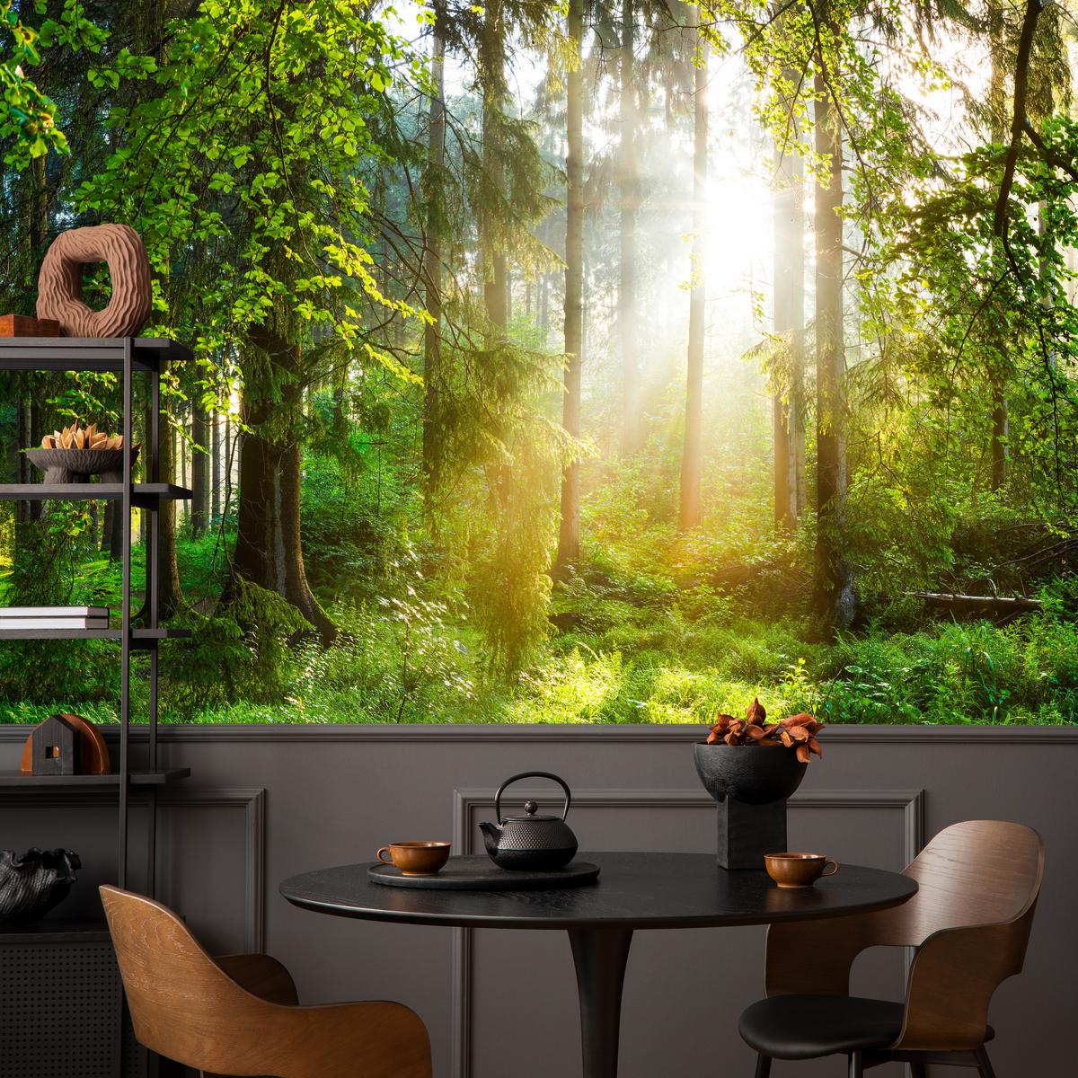 FOTOTAPETE für Wohnzimmer Sonniger Wald Bäume Pflanzen Natur Gras 400x280 - Multicolor, Papier (400/280cm) - Muralo