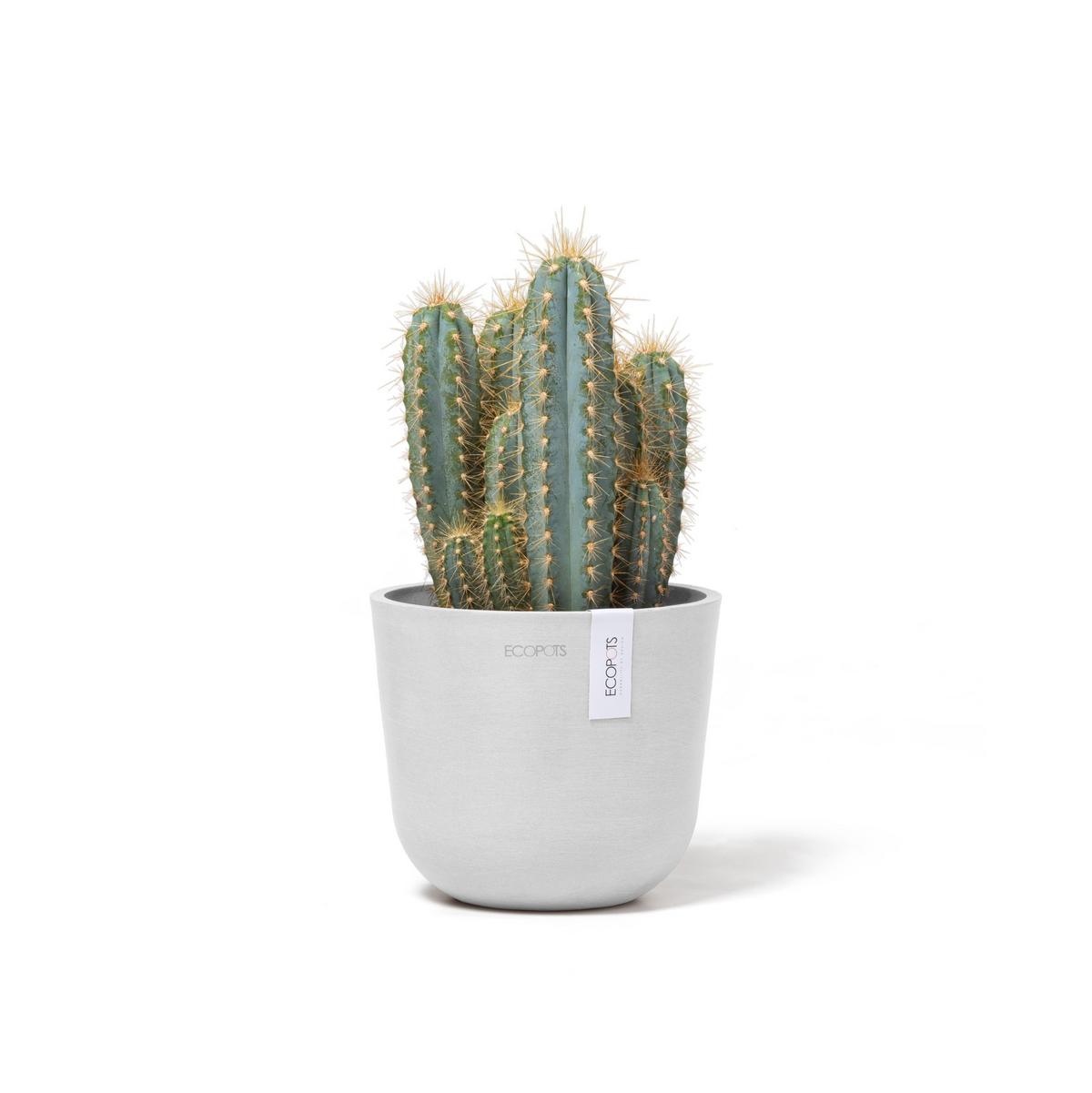 BLUMENTOPF Oslo Mini 16/13,7 cm Weiß - Weiß, Kunststoff (16/13.7cm) - Ecopots