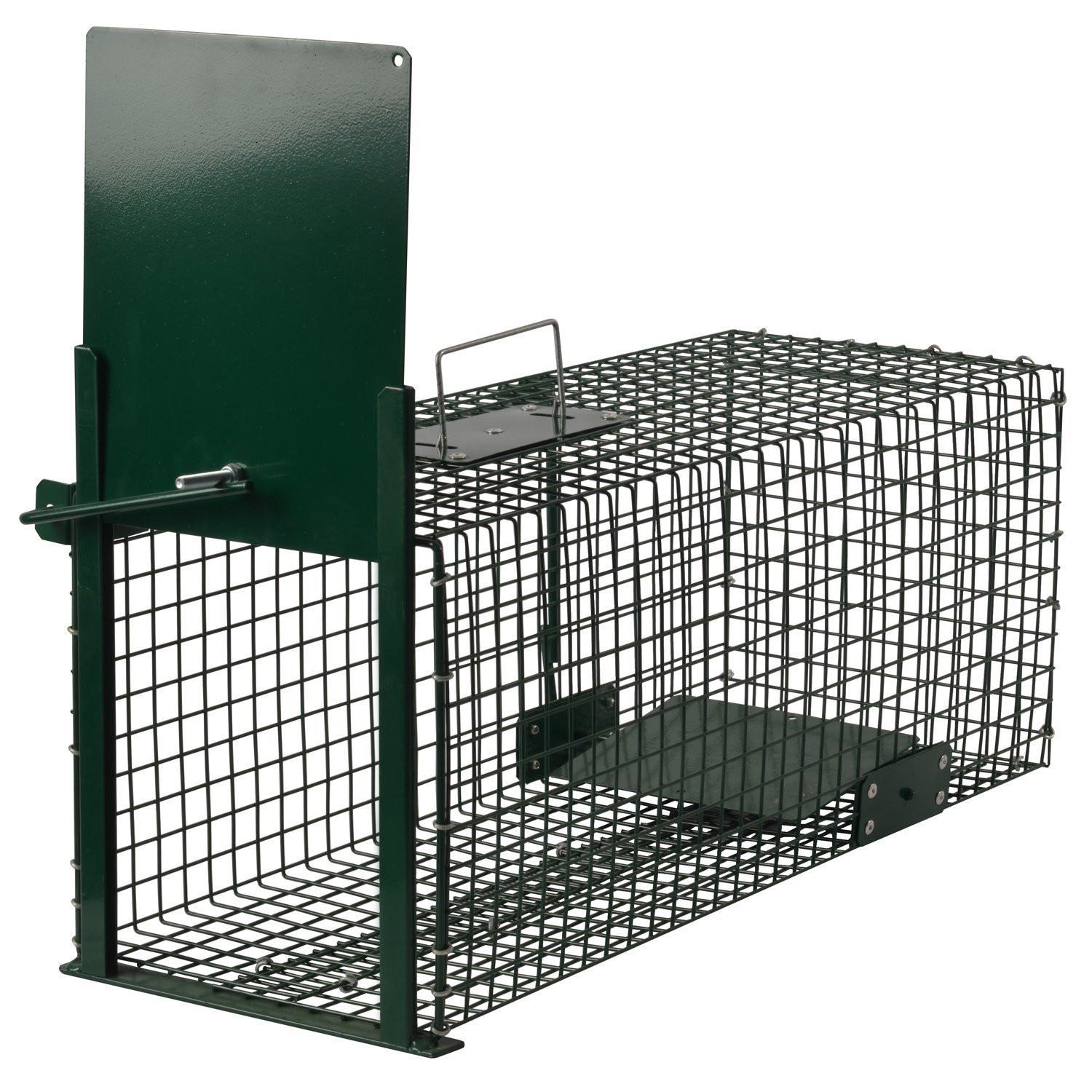 MOORLAND Safe 5001 – Lebendfalle 23 x 23 x 60 cm, grün, mit Handgriff - Grün, Holz (23/23/60cm) - Moorland