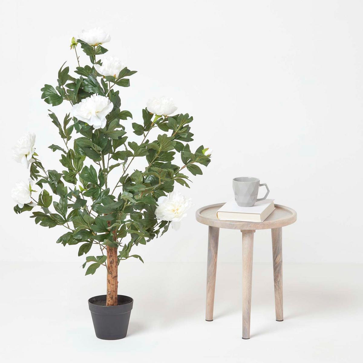 KUNSTPFLANZE Baumpfingstrose creme, 100 cm - Creme, Kunststoff (100cm) - Homescapes