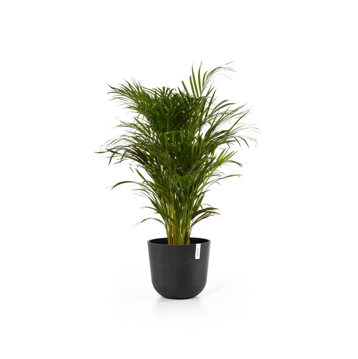 BLUMENTOPF Oslo 35/30,5 cm Dunkelgrau - Dunkelgrau, Kunststoff (35/30.5cm) - Ecopots