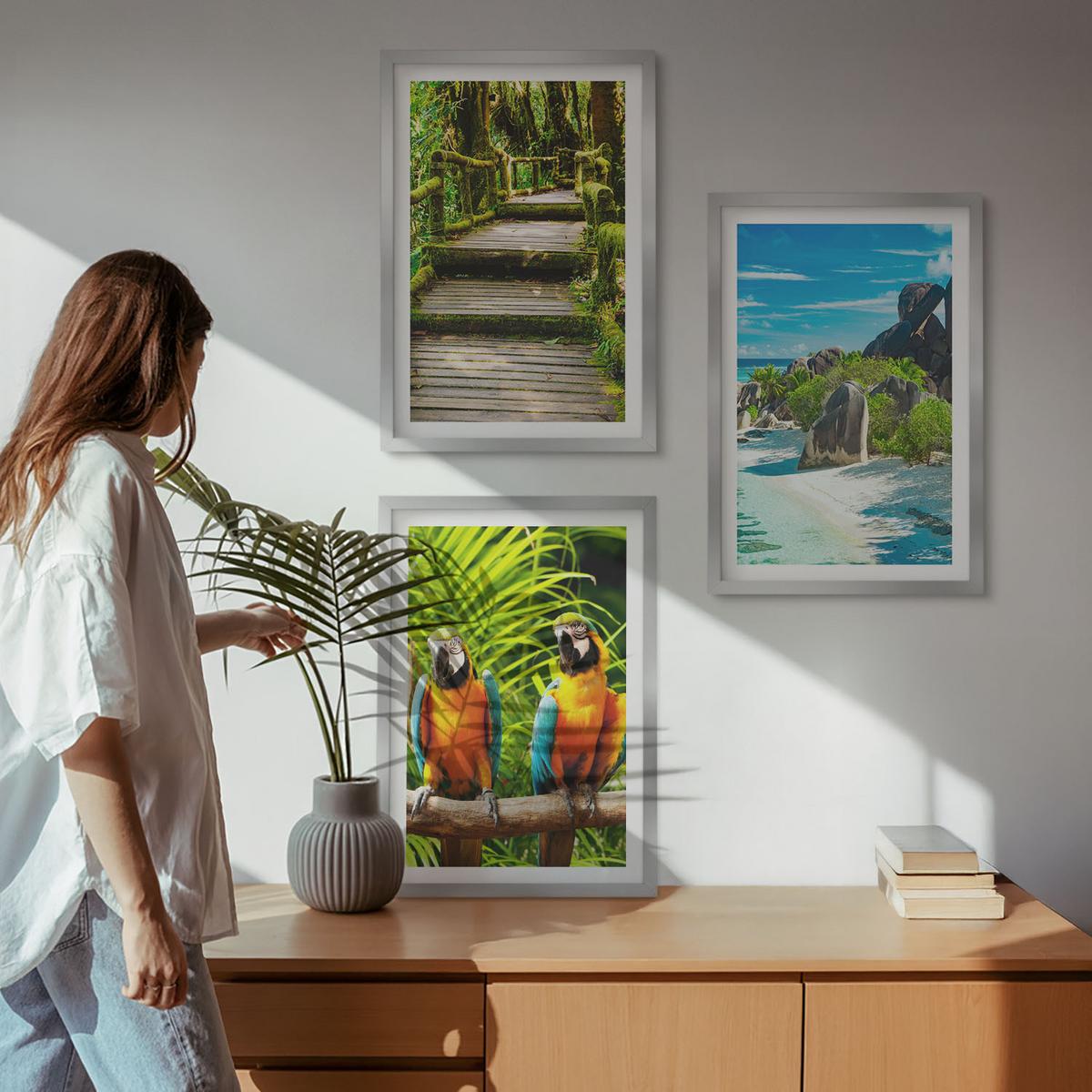 BILDER SET 3er Set - 40x60 cm Silberner Rahmen - Tropischer Wald Papageienwasserfall - Silberfarben, Kunststoff (40/60cm) - TULUP