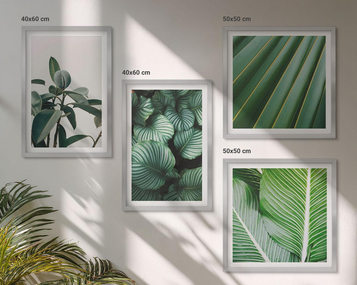 BILDER SET 4er Set - 50x50 cm & 40x60 cm Silberner Rahmen - Tropische Blätter in Grün - Silberfarben, Kunststoff (50/50cm) - TULUP