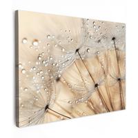 LEINWANDBILD Löwenzahn - Abstrakt - Natur - Beige Wandbild 40x30 cm - Braun, Textil (40/30cm) - MuchoWow