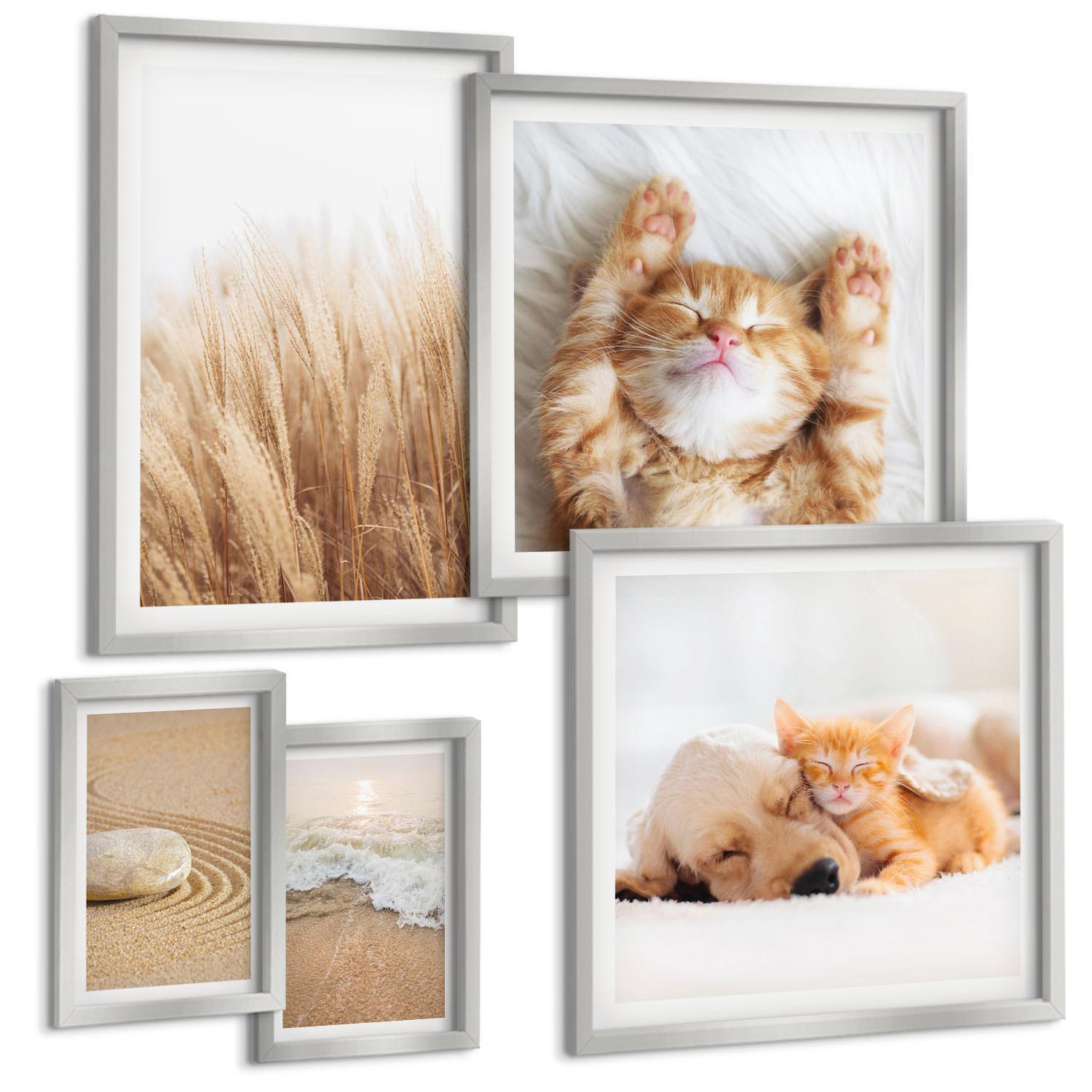BILDER SET 5er Set - 50x50 cm & 20x30 cm & 40x60 cm Silberner Rahmen - Niedliche Tiere, Katzen, Hunde, Strand - Silberfarben, Kunststoff (40/60cm) - TULUP