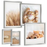BILDER SET 5er Set - 50x50 cm & 20x30 cm & 40x60 cm Silberner Rahmen - Niedliche Tiere, Katzen, Hunde, Strand - Silberfarben, Kunststoff (40/60cm) - TULUP