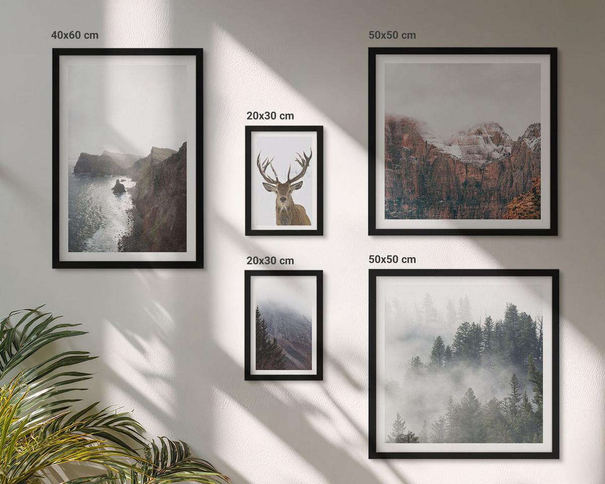 BILDER SET 5er Set - 50x50 cm & 20x30 cm & 40x60 cm Schwarzer Rahmen - Berglandschaft Nebel Hirsch - Schwarz, Kunststoff (40/60cm) - TULUP