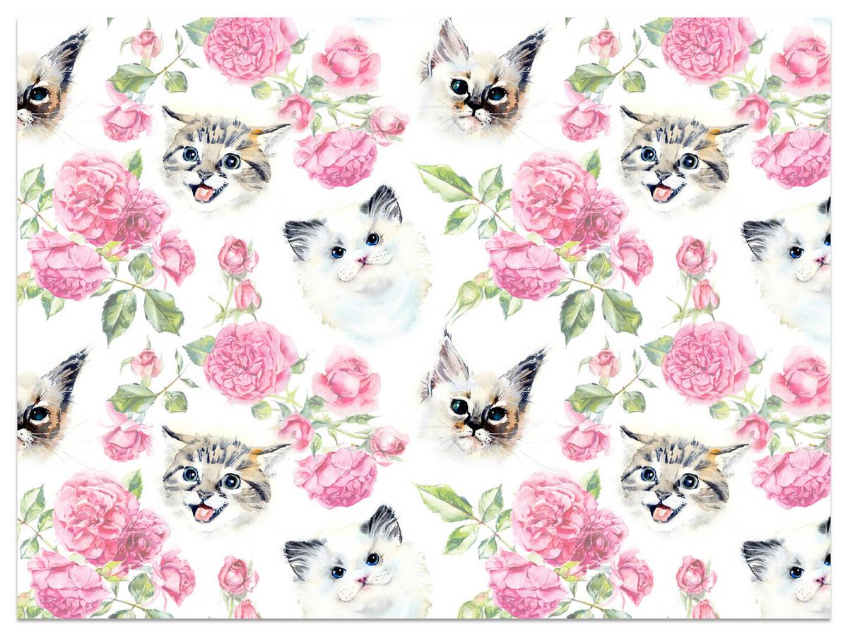 FOTOTAPETE für Badezimmer Kätzchen Rosen Blumen 150x105 - Beige/Rosa, Papier (150/105cm) - Muralo