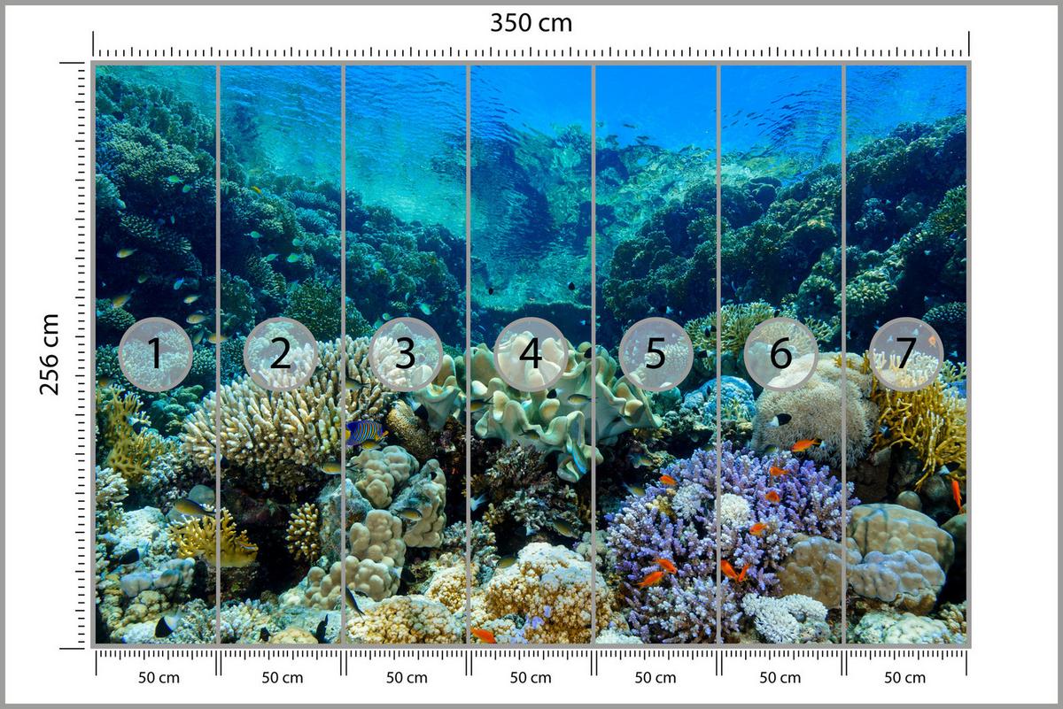 FOTOTAPETE Unterwasserwelt Korallenriff Bunte Fische Meer Natur 350x256 - Türkis/Gelb, Papier (350/256cm) - Muralo