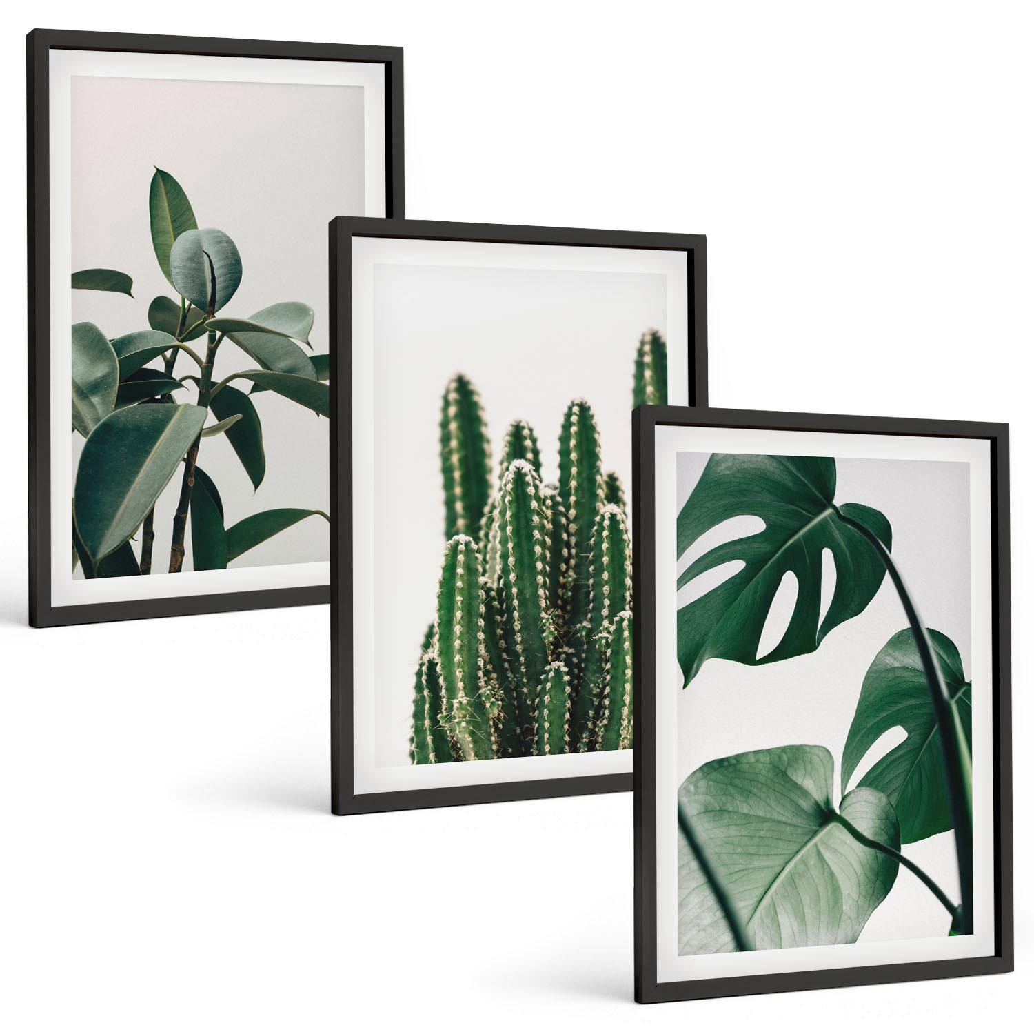 BILDER SET 3er Set - 40x60 cm Schwarzer Rahmen - Tropische ästhetische Pflanzen - Schwarz, Kunststoff (40/60cm) - TULUP
