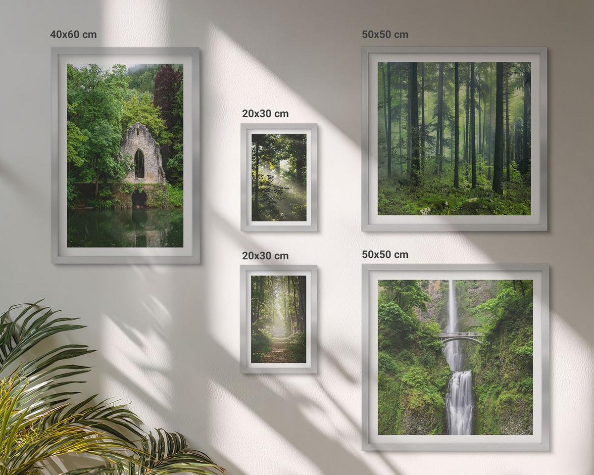 BILDER SET 5er Set - 50x50 cm & 20x30 cm & 40x60 cm Silberner Rahmen - Grüne Wälder, Lichtstrahlen - Silberfarben, Kunststoff (40/60cm) - TULUP