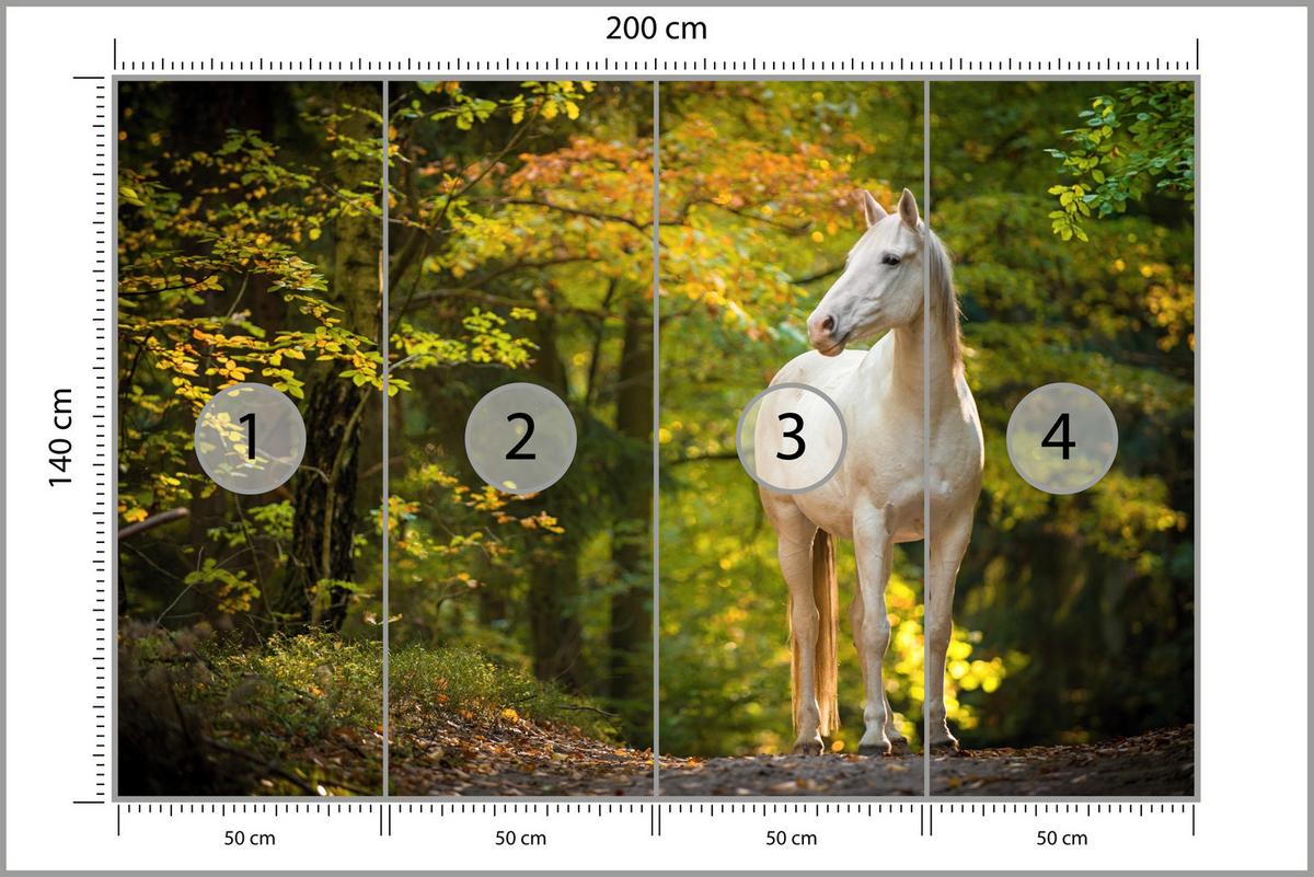 FOTOTAPETE für Schlafzimmer Weißes Pferd Wald Bäume Blätter 200x140 - Gelb/Beige, Papier (200/140cm) - Muralo