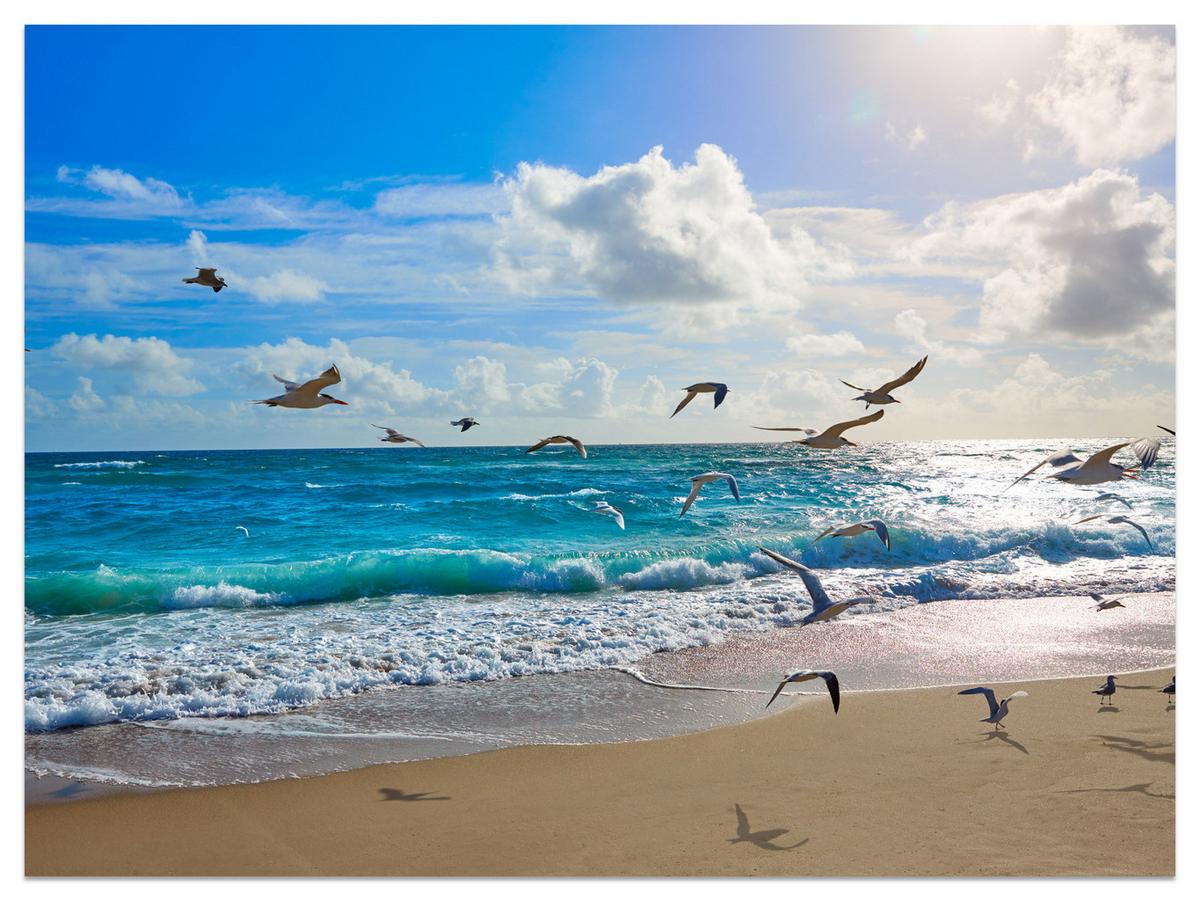 FOTOTAPETE Meer Strand Natur Landschaft 3D 450x315 - Blau/Beige, Papier (450/315cm) - Muralo
