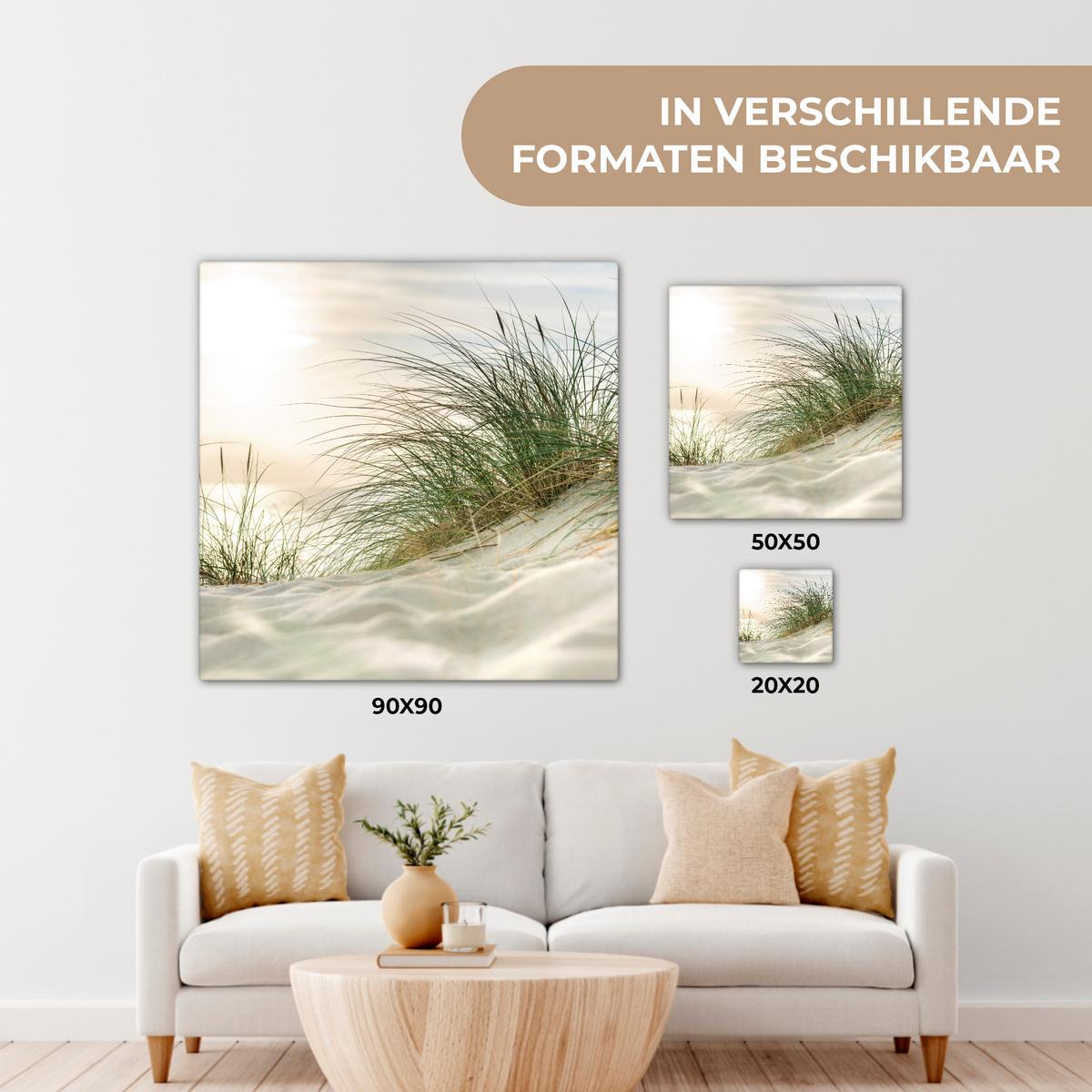 LEINWANDBILD Dünen mit Strandhafer in der Sonne des Nationalparks Schleswig-Holsteinisches Wattenmeer Deko Wohnzimmer 20x20 cm - Creme, Textil (20/20cm) - MuchoWow