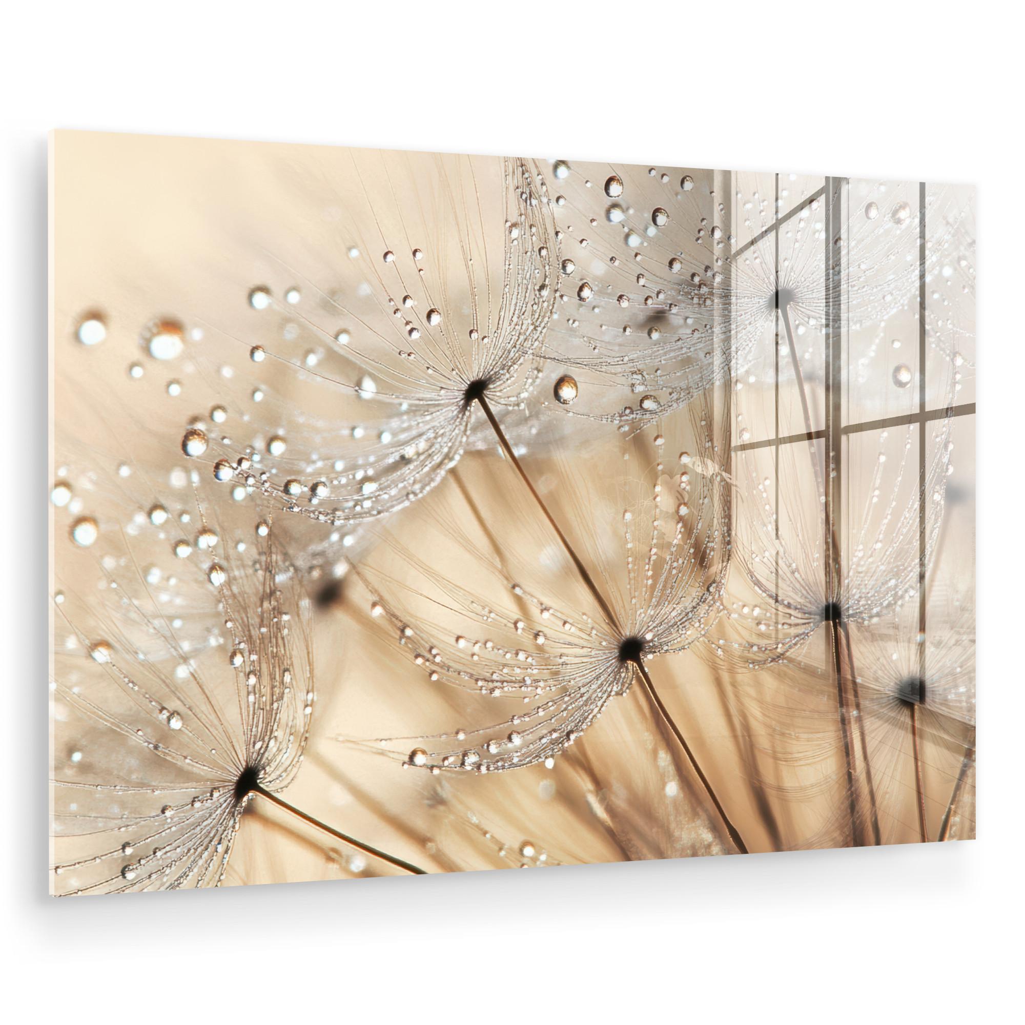 ACRYLGLASBILD Löwenzahn - Abstrakt - Natur - Beige Wandbild Schlafzimmer 120x80 cm - Braun, Glas (120/80cm) - MuchoWow
