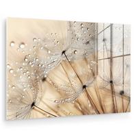 ACRYLGLASBILD Löwenzahn - Abstrakt - Natur - Beige Wandbild Schlafzimmer 120x80 cm - Braun, Glas (120/80cm) - MuchoWow