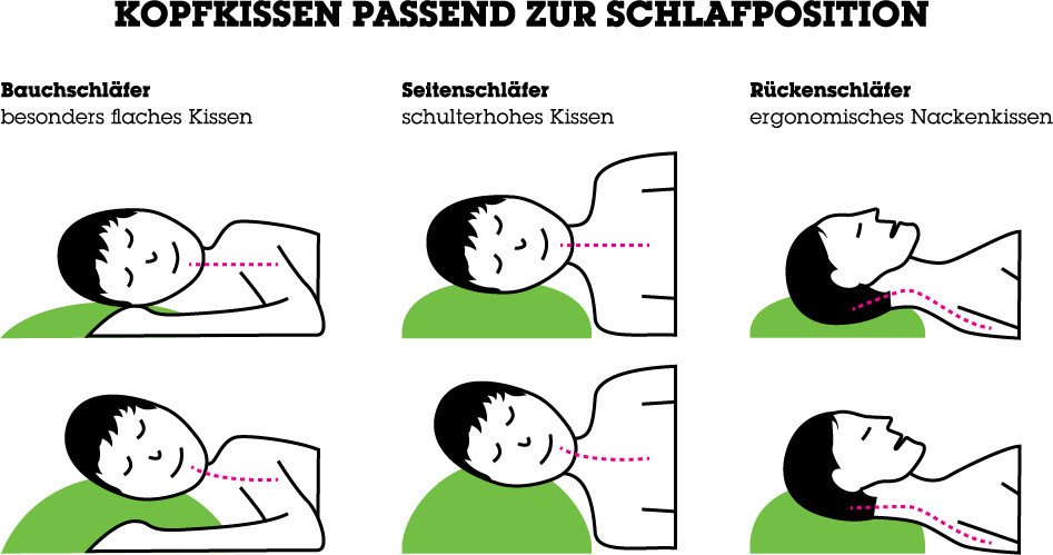 Das richtige Kissen für die jeweilige Schlafpostition von mömax.