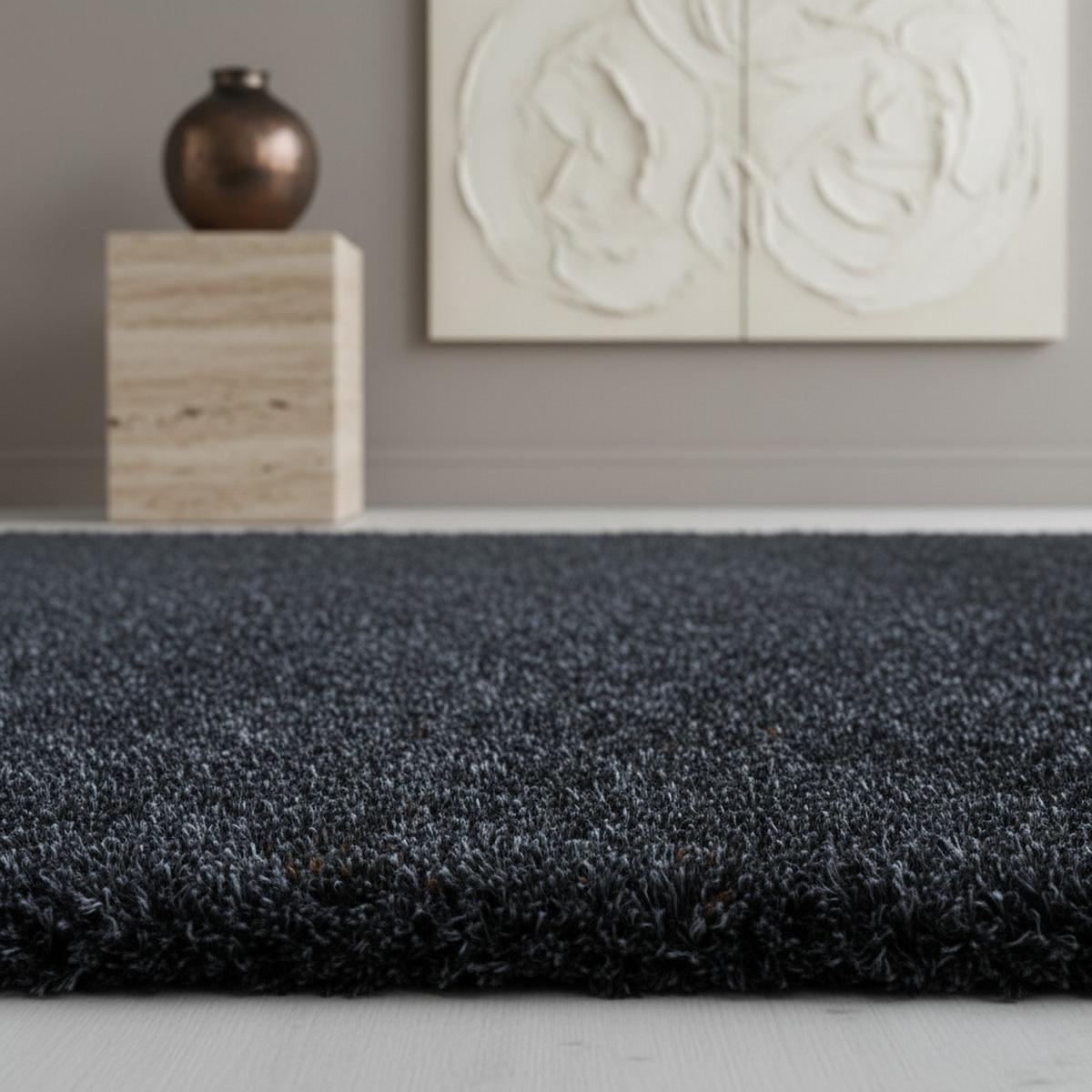 HOCHFLORTEPPICH SALZACH, einfarbig, aus Polypropylen, Anthrazit, 120 x 170 cm - Anthrazit, Textil (170/120cm) - KADIMA DESIGN