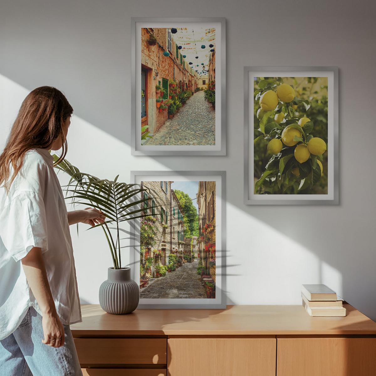 BILDER SET 3er Set - 40x60 cm Silberner Rahmen - Straßen mit Zitronenblüten im Hintergrund - Silberfarben, Kunststoff (40/60cm) - TULUP