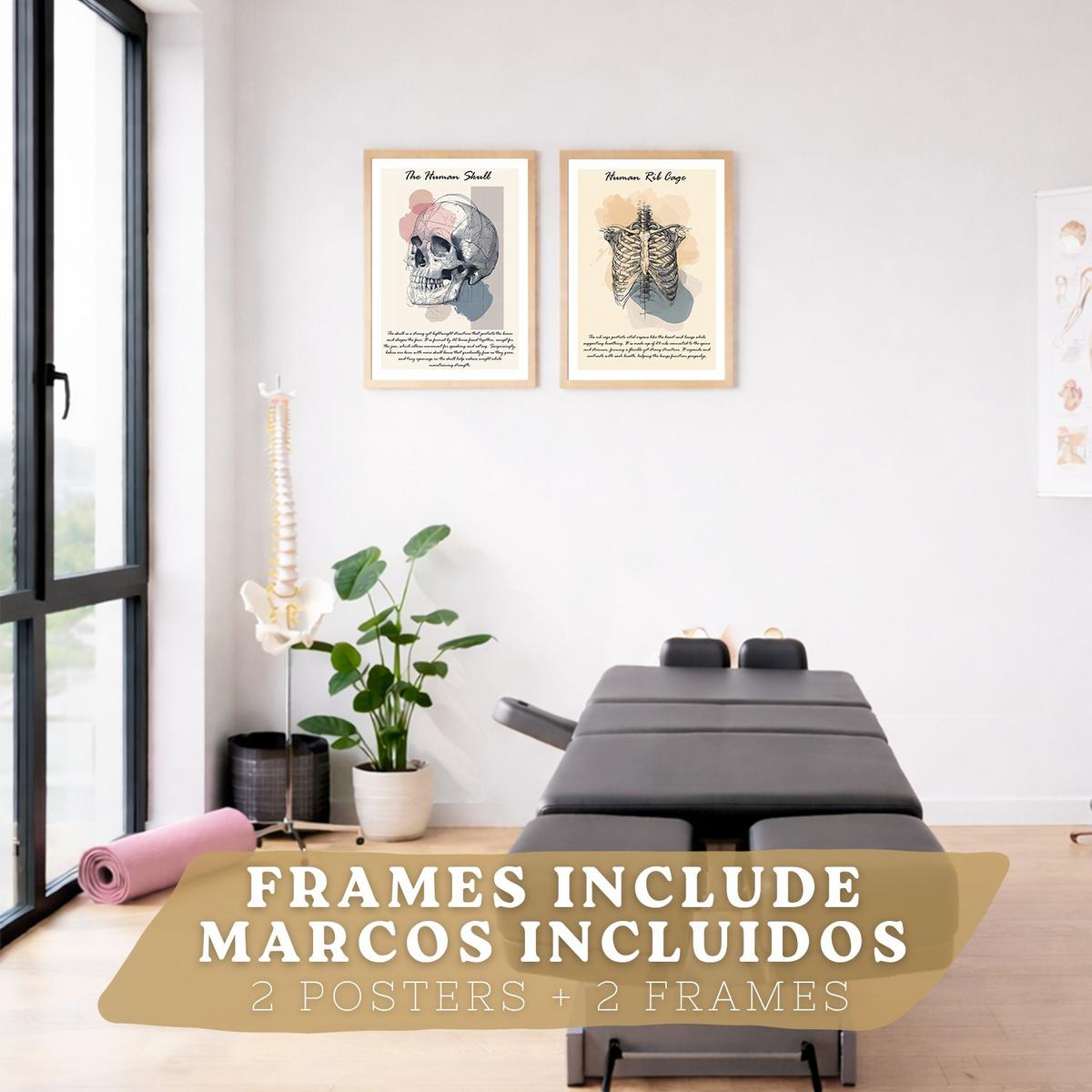 POSTER Set aus 2 Anatomie Mensch Lernposter Drucke und Wandbilder mit Skelett Rippen und Schädel Klinik Büro Dekoration Größe Leichter Holzrahmen A4 - Beige, Papier (21/29.7/3cm) - Nacnic