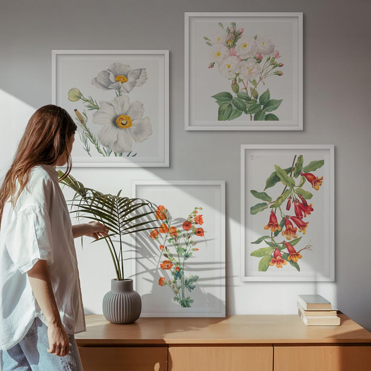 BILDER SET 4er Set - 50x50 cm & 40x60 cm Weißer Rahmen - Retro-Blumenmalerei - Weiß, Kunststoff (50/50cm) - TULUP