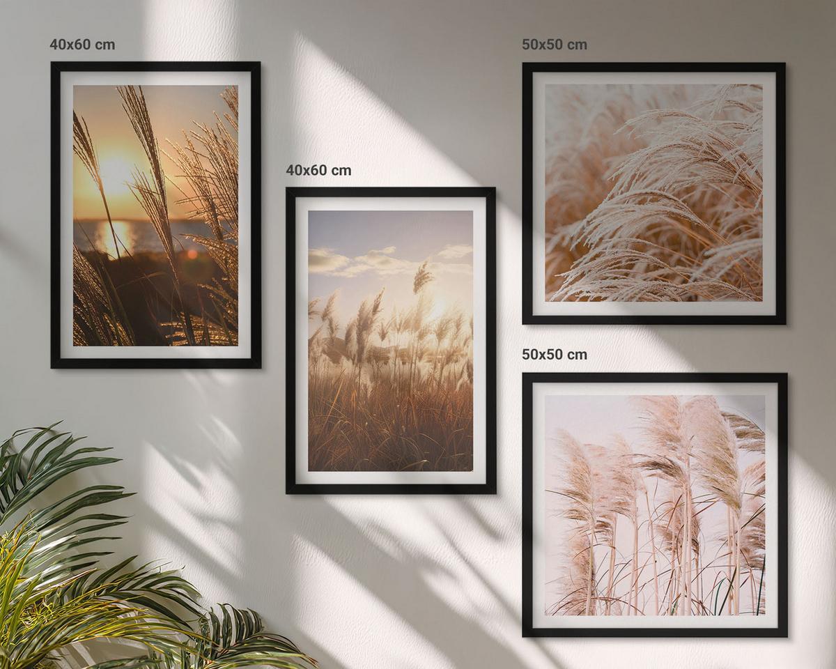 BILDER SET 4er Set - 50x50 cm & 40x60 cm Schwarzer Rahmen - Boho-Grasfeld-Sonnenuntergang - Schwarz, Kunststoff (50/50cm) - TULUP