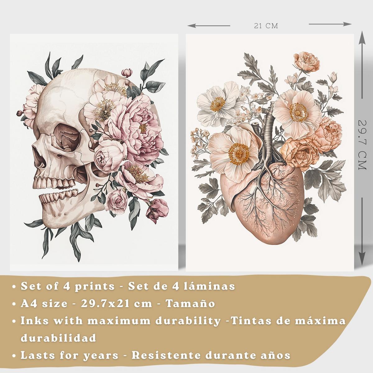 POSTER Set aus 4 Anatomie Mensch Florale Drucke und mit Schädel Herz Lungen und Skelett Botanische Aquarell dekoration Größe Schwarzer Rahmen A4 - Schwarz, Papier (21/29.7/3cm) - Nacnic