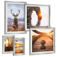 BILDER SET 5er Set - 50x50 cm & 20x30 cm & 40x60 cm Silberner Rahmen - Blätter des Weißen Tigerwasserfalls - Silberfarben, Kunststoff (40/60cm) - TULUP