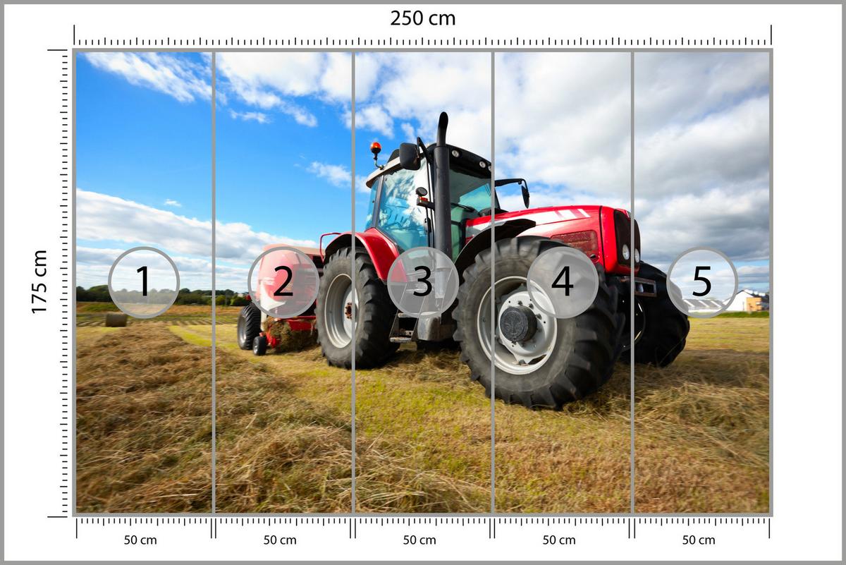 FOTOTAPETE Roter Traktor Feld Ernte Landwirtschaft Rustikal 250x175 - Gelb/Rot, Papier (250/175cm) - Muralo