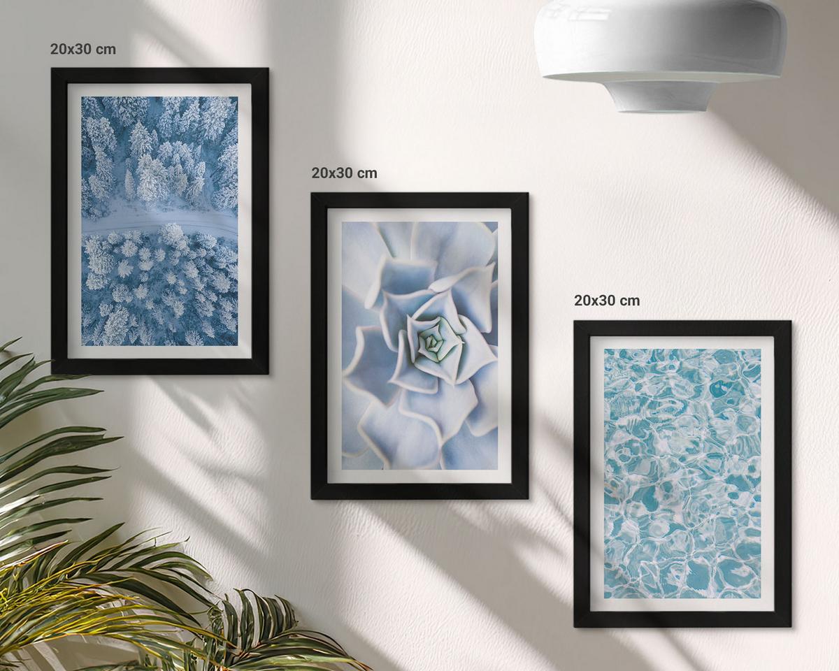 BILDER SET 3er Set - 20x30 cm Schwarzer Rahmen - Winterwald blaue Blume Wasser - Schwarz, Kunststoff (20/30cm) - TULUP