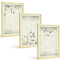 BILDER SET 3er Set - 40x60 cm Goldrahmen - Minimalistische Vogelmalerei - Goldfarben, Kunststoff (40/60cm) - TULUP