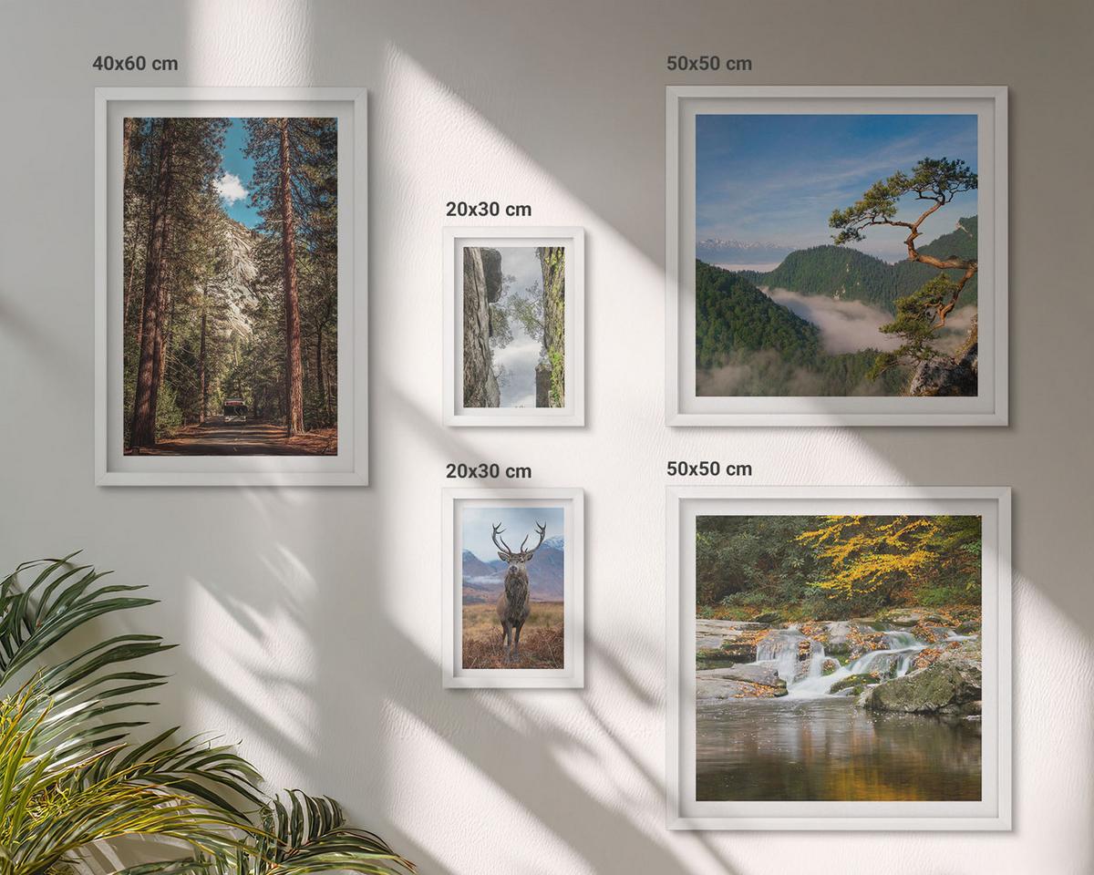 BILDER SET 5er Set - 50x50 cm & 20x30 cm & 40x60 cm Weißer Rahmen - Wasserfall Wald Berge Hirsch Natur - Weiß, Kunststoff (40/60cm) - TULUP