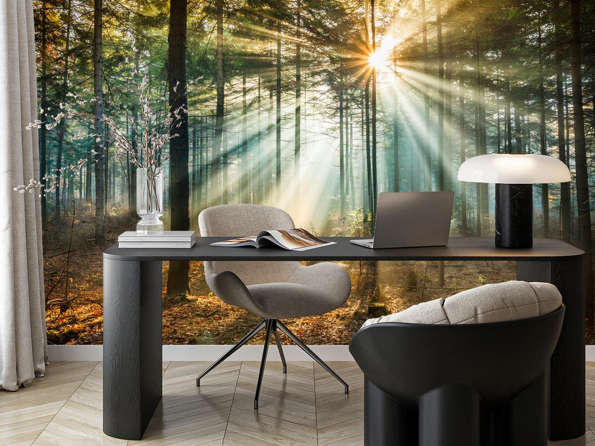 FOTOTAPETE für Wohnzimmer Herbstwald Sonnenuntergang Bäume Natur 300x210 - Beige/Gelb, Papier (300/210cm) - Muralo