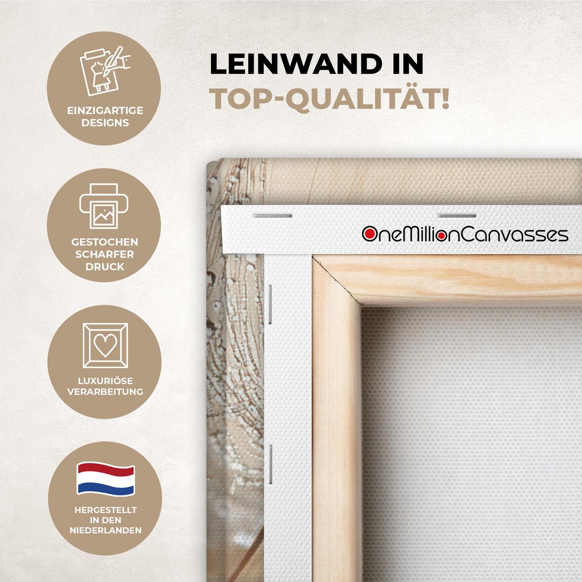 LEINWANDBILD Löwenzahn - Abstrakt - Natur - Beige Room Decor 30x40 cm - Braun, Textil (30/40cm) - MuchoWow