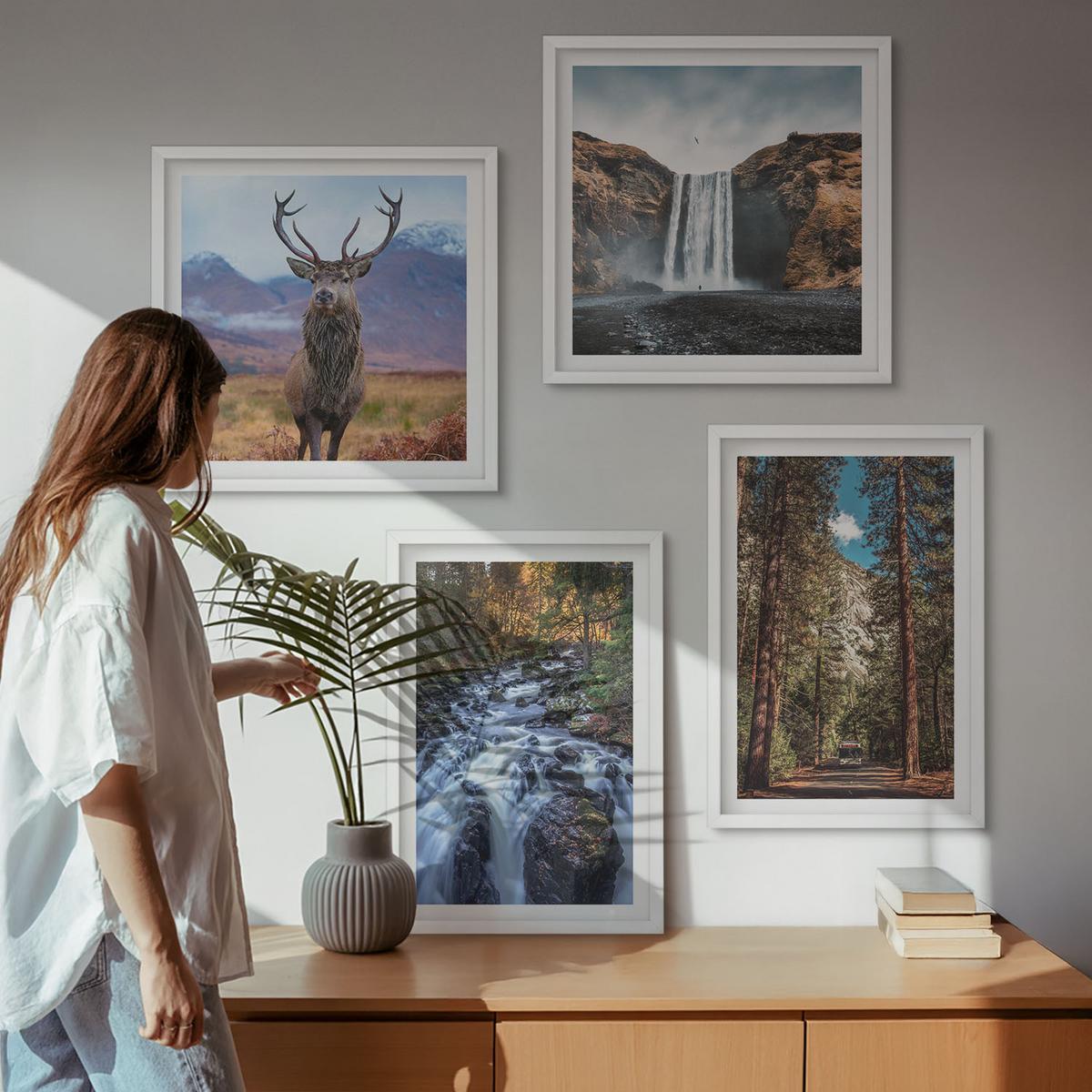 BILDER SET 4er Set - 50x50 cm & 40x60 cm Weißer Rahmen - Wasserfall Wald Berge Hirsch Natur - Weiß, Kunststoff (50/50cm) - TULUP