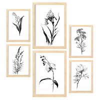 POSTER Set Mit 6 Zarte Blumen Natur Und Botanikdrucke Mit Blumenmotiven In Klassischem Schwarz Und Weiß A3 & A4 Rahmen Aus Hellem Holz - Beige, Papier (29/3cm) - Nacnic