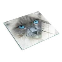 GLASPLATTE 60x52 cm Katze mit blauen Augen - Blau, Glas (60/0.4/52cm) - TULUP