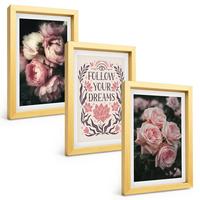 BILDER SET 3er Set - 20x30 cm Goldrahmen - Vintage-Rosenträume-Inschrift - Goldfarben, Kunststoff (20/30cm) - TULUP