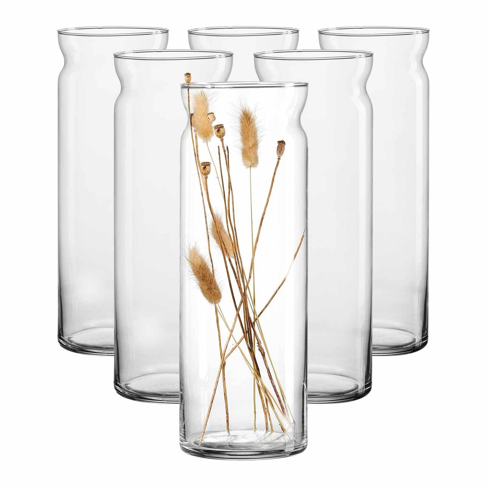 VASEN Dalia transparent 35 cm 6er Set - Transparent, Glas (12/35cm) - Ritzenhoff Breker
