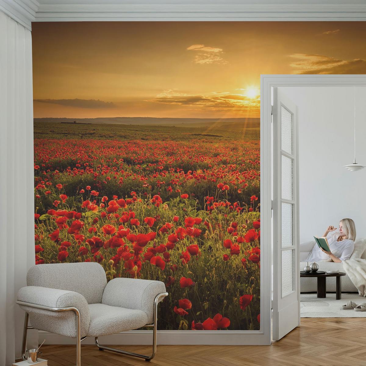 FOTOTAPETE 416x254 cm - Mohnfeld - Rot, Textil (416/254cm) - Wallfluent