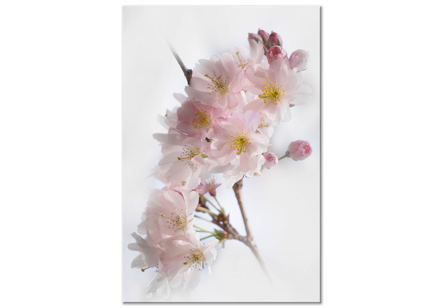 KUNSTDRUCK Grau 40/60 cm - Pink/Grau, Textil (40/60cm) - KUNSTLOFT